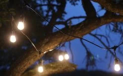 Biergarten-Lichterkette "CT-BGL 15" 1,5 + 12,5m, 15x Filamentlampe 0,8W -Philips Store biergarten lichterkette ct bgl 15 15 125m 15x filamentlampe 08w4