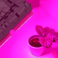 Bioledex GoLeaf SILLAR-4L LED Pflanzenleuchte 100W - Rot-blaue Grow Pflanzenbeleuchtung -Philips Store bioledex goleaf sillar 4l led pflanzenleuchte 100w rot blaue grow pflanzenbeleuchtung3