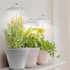 Bioledex GoLeaf TOP5 LED Pflanzenleuchte Vollspektrum 5W USB Pflanzenbeleuchtung -Philips Store bioledex goleaf top5 led pflanzenleuchte vollspektrum 5w usb pflanzenbeleuchtung3