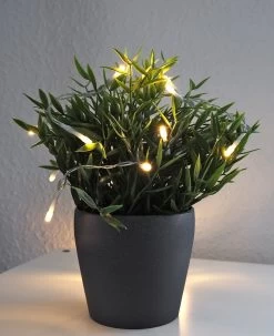 LED Batterie-Lichterkette "CT-BK20" 2m Warmweiß, Transp. Kabel, 20 LEDs -Philips Store led batterie lichterkette ct bk20 2m warmweiss transp kabel 20 leds4