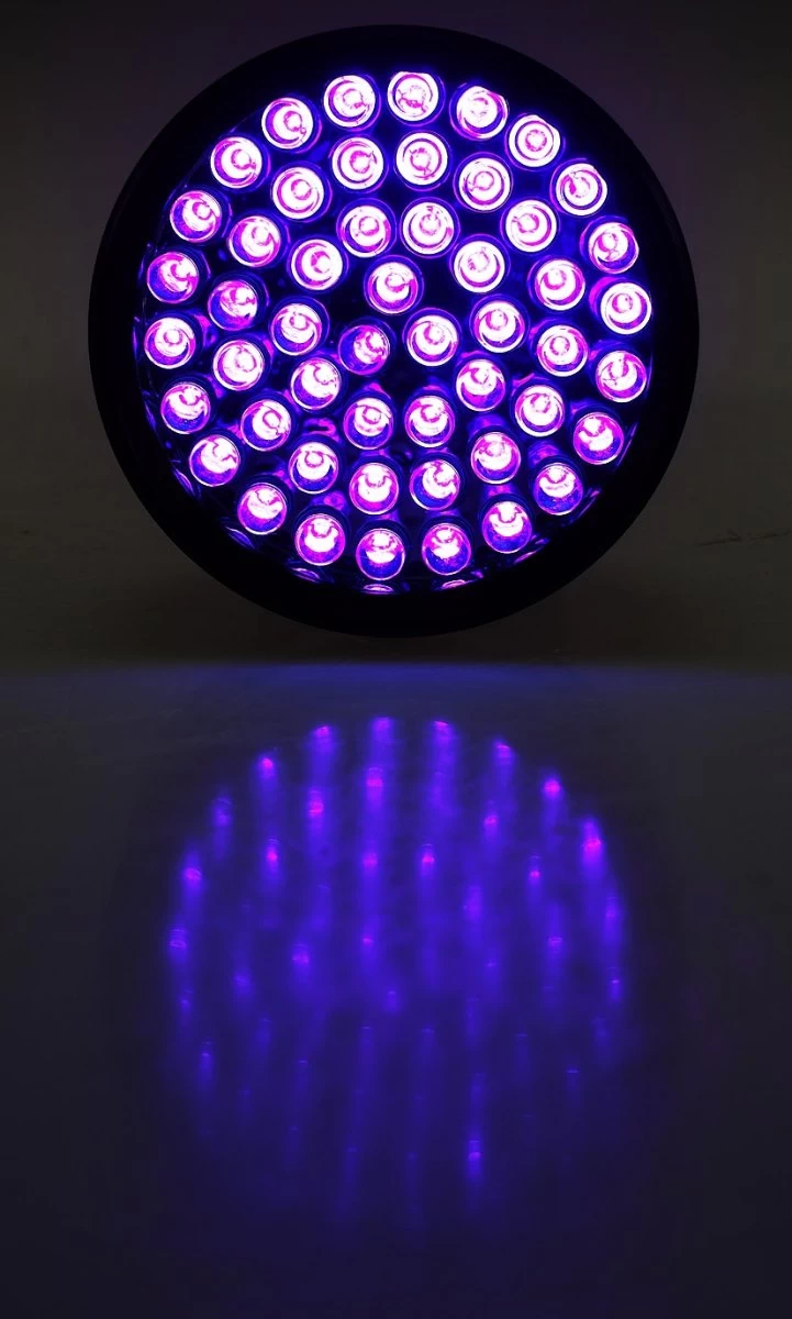 LED-Taschenlampe Mit 51 UV LEDs Schwarzlicht, ØxL 55x145mm 6 LED-Taschenlampe Mit 51 UV LEDs Schwarzlicht, ØxL 55x145mm – Bild 6