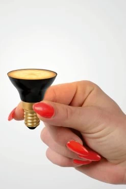 Lucide G45 LED Lampe E14 3-Stufen-Dimmer 5W Dimmbar Schwarz 49098/05/30