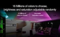 Synergy 21 LED Controller RGB DC12/24V *Milight/Miboxer* 14 Synergy 21 LED Controller RGB DC12/24V *Milight/Miboxer* -Philips Store synergy 21 led controller rgb dc12 24v milight miboxer5